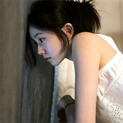 光荣之路上的狗